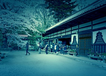 神社,日本庭園,屋外,晴れ,春,ホラー