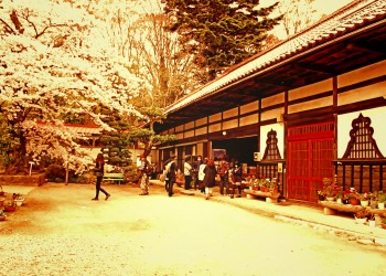 神社,日本庭園,屋外,晴れ,春,ヴィンテージ
