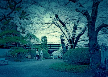 神社,日本庭園,屋外,晴れ,春,ホラー
