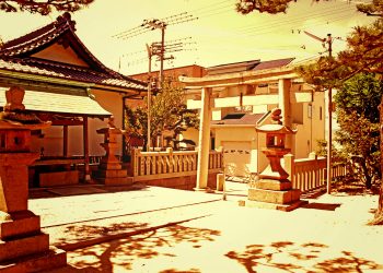 神社,村,屋外,夏,晴れ,ヴィンテージ