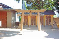 神社,和,屋外,夏,晴れ
