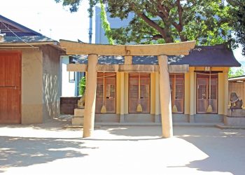 神社,和,屋外,夏,晴れ