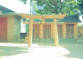 神社,和,屋外,夏,晴れ,昭和レトロ