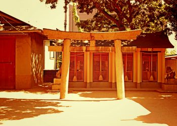神社,和,屋外,夏,晴れ,ヴィンテージ