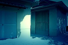 神社,和,屋外,夏,晴れ
