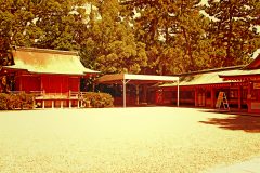 神社,和,屋外,夏,晴れ