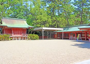 神社,和,屋外,夏,晴れ