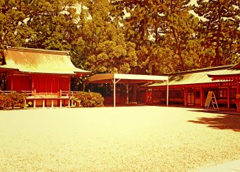 神社,和,屋外,夏,晴れ,ヴィンテージ