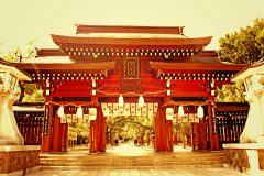 神社,和,屋外,夏,晴れ
