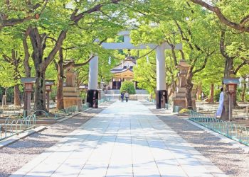 神社,和,屋外,夏,晴れ