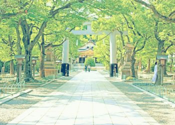 神社,和,屋外,夏,晴れ,昭和レトロ