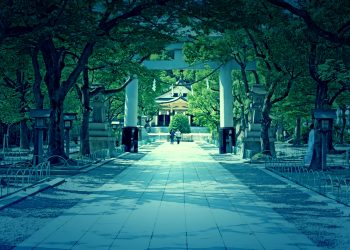 神社,和,屋外,夏,晴れ,ホラー