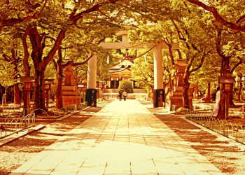 神社,和,屋外,夏,晴れ,ヴィンテージ