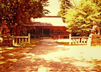 神社,和,屋外,夏,晴れ,ヴィンテージ