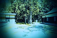 神社,町,晴れ,夏,屋外