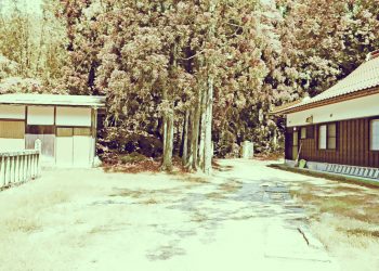 神社,町,晴れ,夏,屋外,昭和レトロ