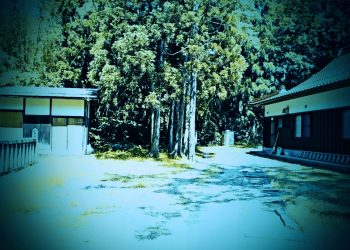 神社,町,晴れ,夏,屋外,ホラー