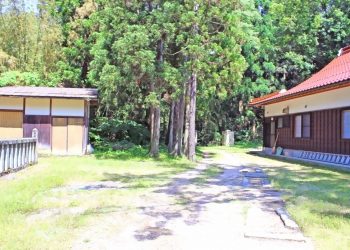神社,町,晴れ,夏,屋外
