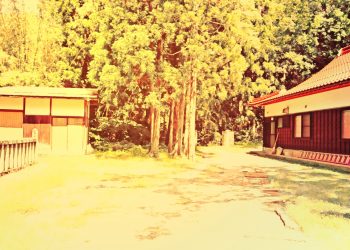 神社,町,晴れ,夏,屋外,ヴィンテージ