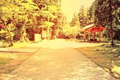 神社,町,晴れ,夏,屋外