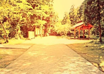 神社,町,晴れ,夏,屋外,ヴィンテージ
