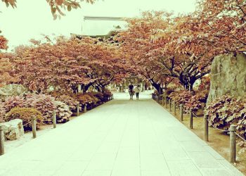神社,村,晴れ,夏,屋外,昭和レトロ