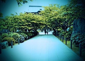 神社,村,晴れ,夏,屋外,ホラー