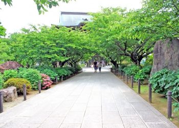 神社,村,晴れ,夏,屋外