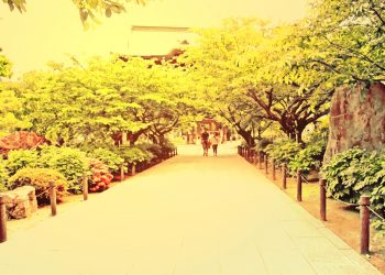 神社,村,晴れ,夏,屋外,ヴィンテージ