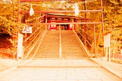 神社,村,屋外,秋,晴れ