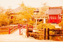 神社,村,屋外,秋,晴れ