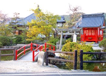 神社,村,屋外,秋,晴れ