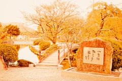 神社,村,屋外,秋,晴れ