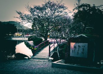神社,村,屋外,秋,晴れ,ホラー