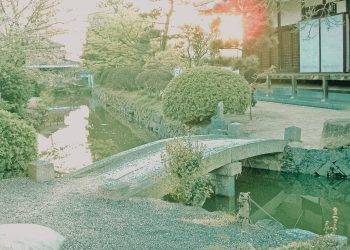 神社,村,屋外,秋,晴れ,昭和レトロ