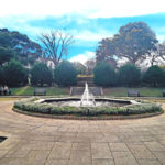無料,画像,写真,公園,都市,町