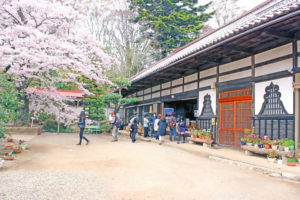 無料,画像,写真,背景素材